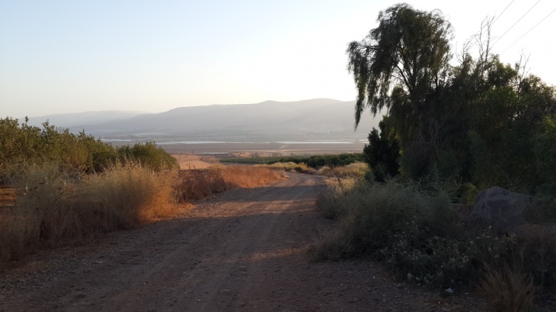 קובץ:2016.10.07-183726.291.android.jpg