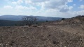 תמונה ממוזערת לגרסה מתאריך 18:24, 10 באוקטובר 2016