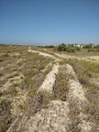 תמונה ממוזערת לגרסה מתאריך 18:55, 25 באוקטובר 2016