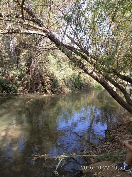 קובץ:2016.10.22-115118.030.android.jpg