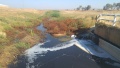 תמונה ממוזערת לגרסה מתאריך 09:05, 29 באוקטובר 2016