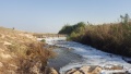 תמונה ממוזערת לגרסה מתאריך 12:58, 4 בנובמבר 2016