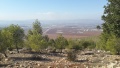 תמונה ממוזערת לגרסה מתאריך 09:28, 10 בדצמבר 2016