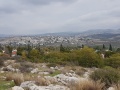 תמונה ממוזערת לגרסה מתאריך 09:56, 24 בדצמבר 2016