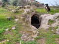 תמונה ממוזערת לגרסה מתאריך 12:50, 20 בפברואר 2017