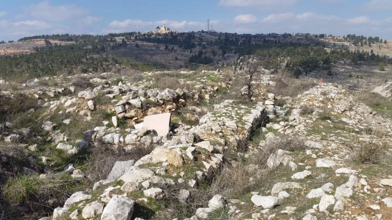 קובץ:2017.01.30-132823.246.android.jpg