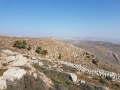 תמונה ממוזערת לגרסה מתאריך 14:06, 21 בפברואר 2017