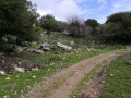 תמונה ממוזערת לגרסה מתאריך 11:17, 14 בפברואר 2017