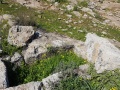 תמונה ממוזערת לגרסה מתאריך 11:35, 23 בפברואר 2017