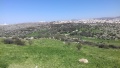 תמונה ממוזערת לגרסה מתאריך 16:08, 19 בפברואר 2017