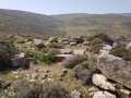 תמונה ממוזערת לגרסה מתאריך 14:38, 27 בפברואר 2017