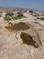 תמונה ממוזערת לגרסה מתאריך 14:39, 27 בפברואר 2017