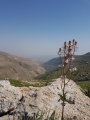 תמונה ממוזערת לגרסה מתאריך 14:40, 27 בפברואר 2017