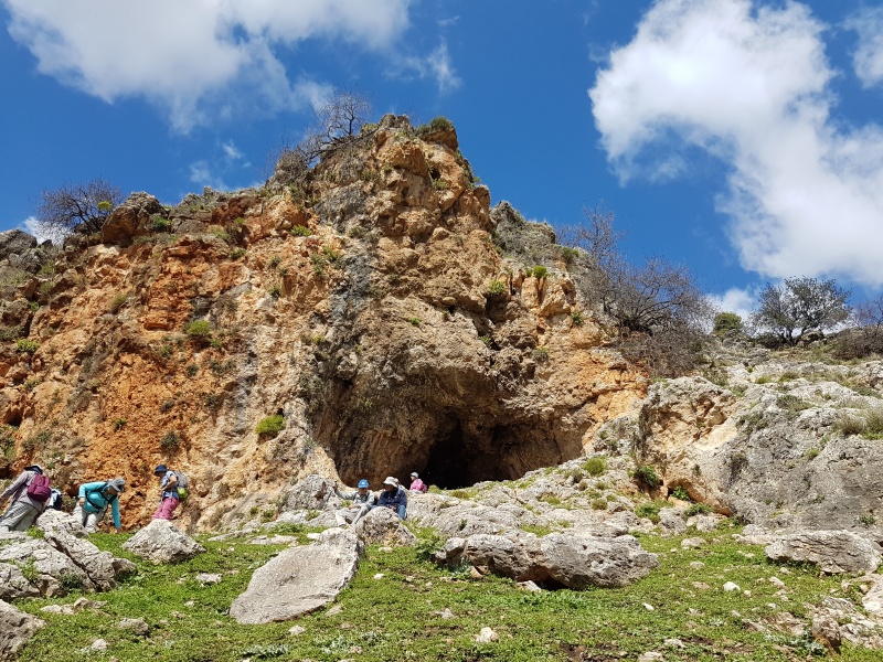 קובץ:2017.03.04-123832.267.android.jpg