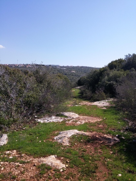 קובץ:2017.03.07-112528.739.android.jpg