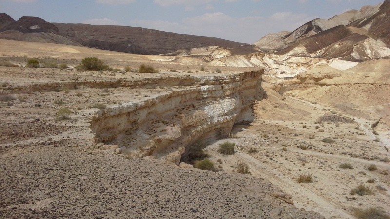 קובץ:2017.04.15-151622.977.android.jpg