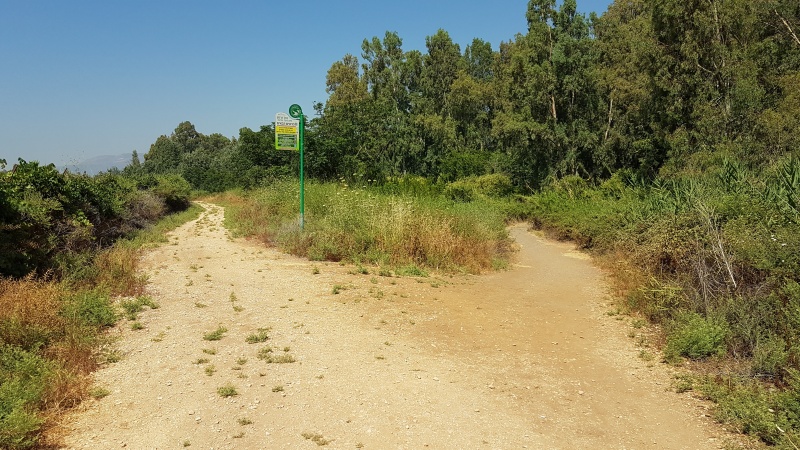 קובץ:2017.06.17-111738.284.android.jpg