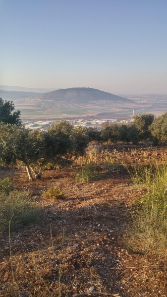 קובץ:2017.06.26-195802.228.android.jpg