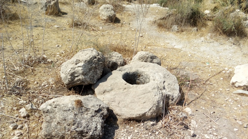 קובץ:2017.07.19-113350.030.android.jpg