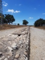 תמונה ממוזערת לגרסה מתאריך 10:16, 31 ביולי 2017