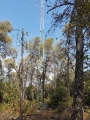 תמונה ממוזערת לגרסה מתאריך 11:31, 15 בספטמבר 2017