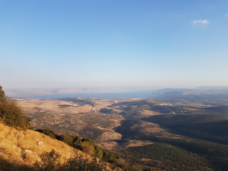 קובץ:2017.10.12-182135.394.android.jpg