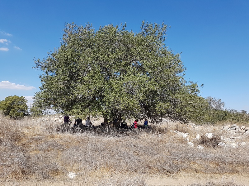 קובץ:2017.10.15-142832.381.android.jpg