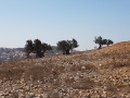 תמונה ממוזערת לגרסה מתאריך 18:17, 25 באוקטובר 2017