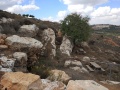 תמונה ממוזערת לגרסה מתאריך 21:23, 10 בנובמבר 2017