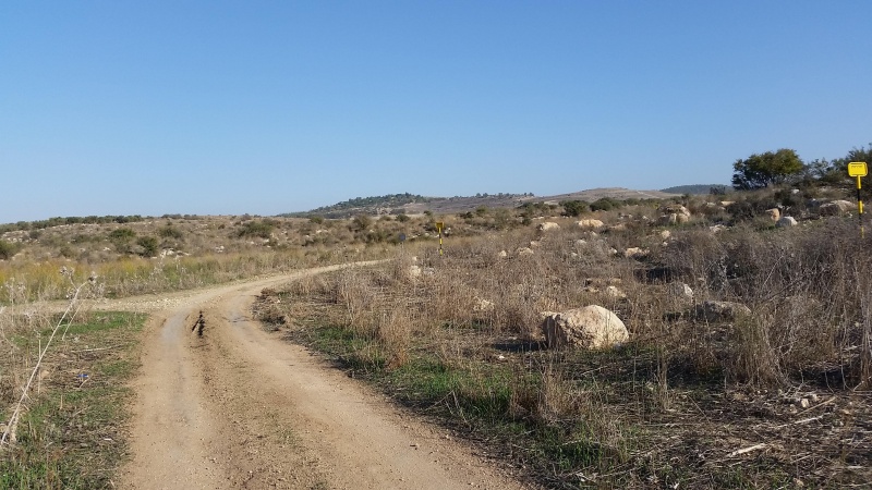 קובץ:2017.12.02-153304.311.android.jpg