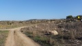 תמונה ממוזערת לגרסה מתאריך 17:31, 8 בדצמבר 2017