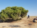 תמונה ממוזערת לגרסה מתאריך 19:19, 2 בדצמבר 2017