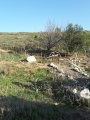 תמונה ממוזערת לגרסה מתאריך 17:54, 15 בינואר 2018