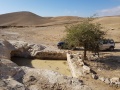 תמונה ממוזערת לגרסה מתאריך 11:58, 13 בפברואר 2018