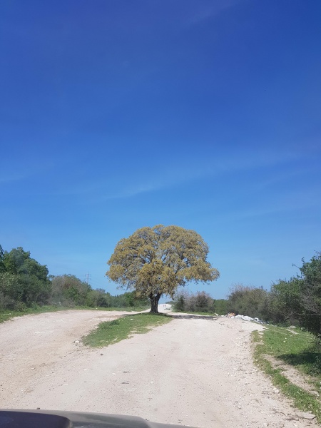 קובץ:2018.03.03-132704.089.android.jpg