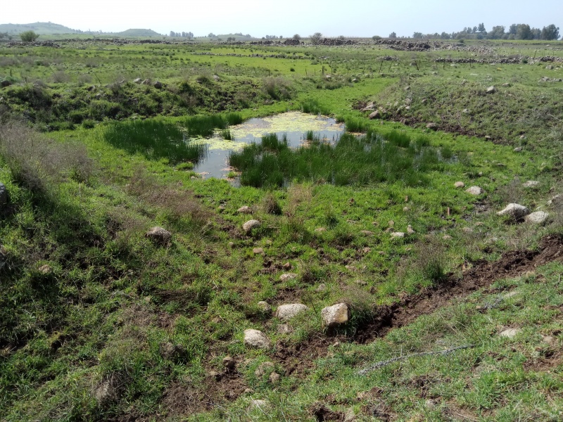 קובץ:2018.03.06-124839.590.android.jpg