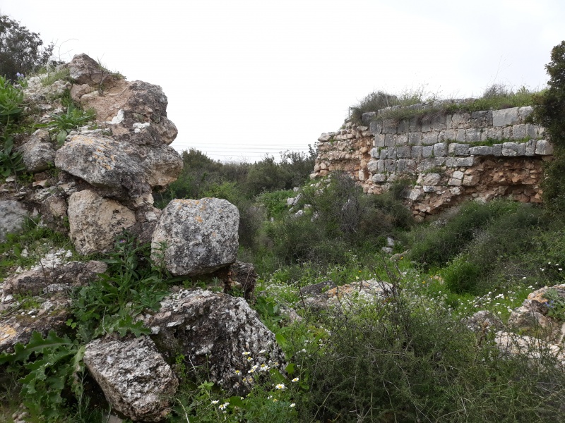 קובץ:2018.03.06-143942.773.android.jpg