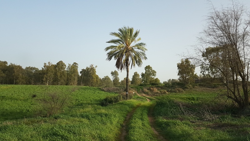 קובץ:2018.03.08-171621.261.android.jpg