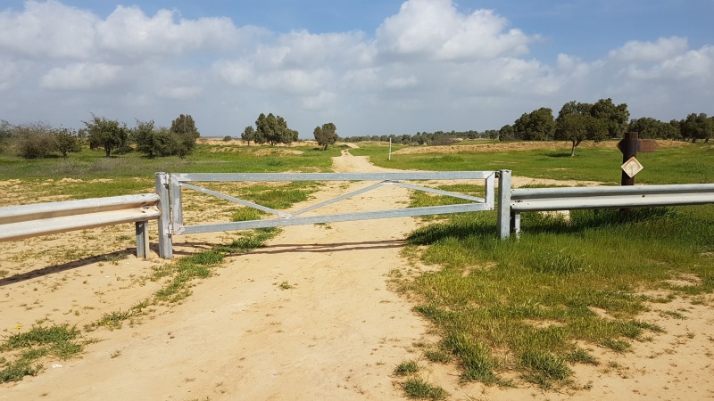 קובץ:2018.03.09-106052.935.android.jpg