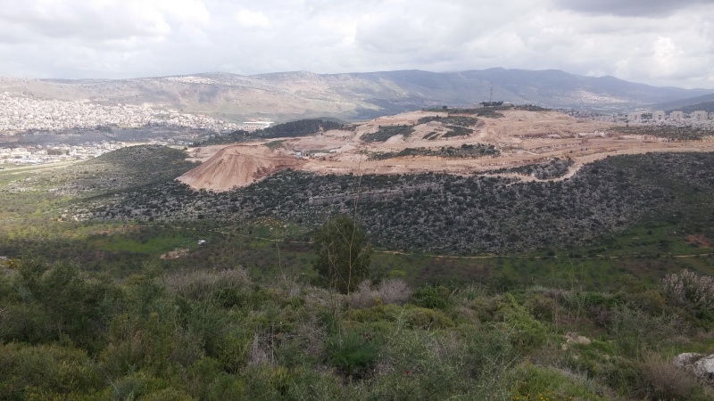 קובץ:2018.03.10-115557.226.android.jpg