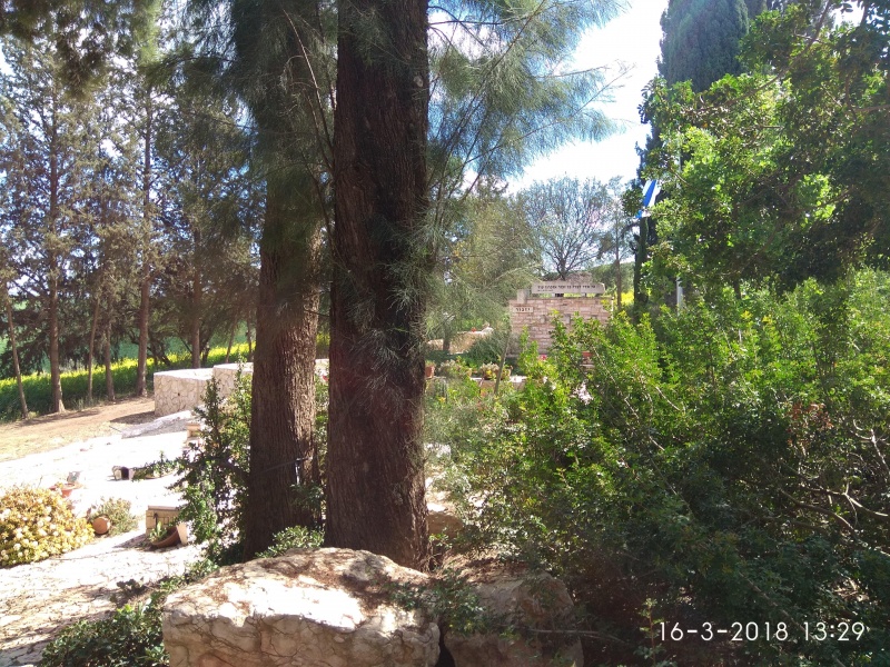 קובץ:2018.03.16-143004.721.android.jpg