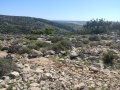 תמונה ממוזערת לגרסה מתאריך 23:39, 10 בינואר 2019