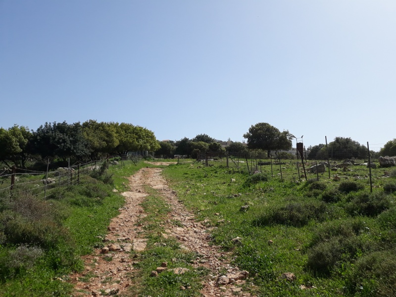 קובץ:2018.03.19-142829.812.android.jpg