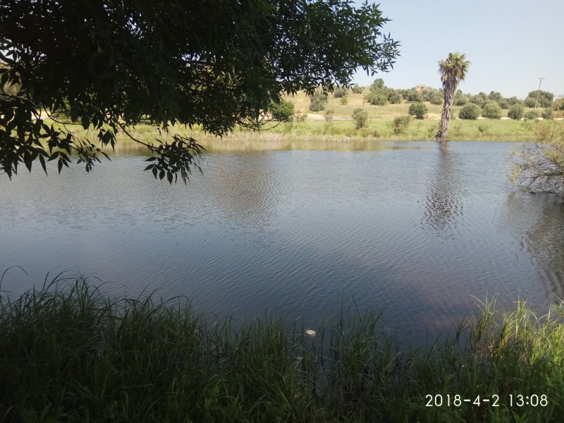 קובץ:2018.04.02-141004.854.android.jpg