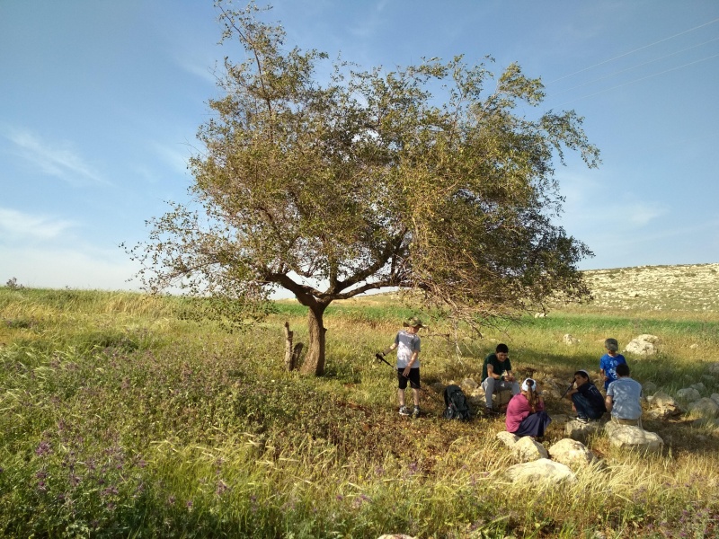 קובץ:2018.04.02-173228.373.android.jpg