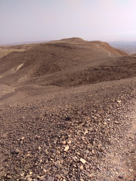 קובץ:2018.04.04-100736.547.android.jpg