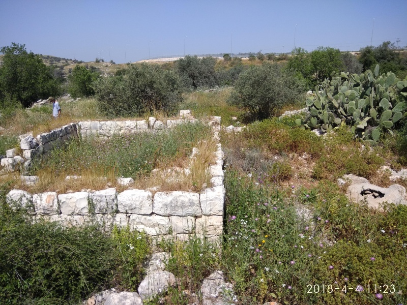 קובץ:2018.04.04-122407.215.android.jpg