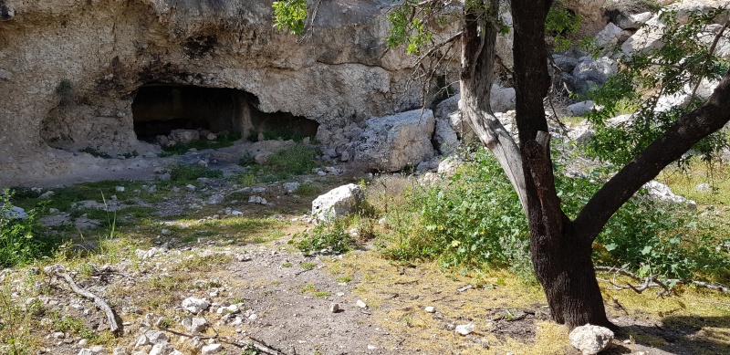 קובץ:2018.04.04-162046.281.android.jpg