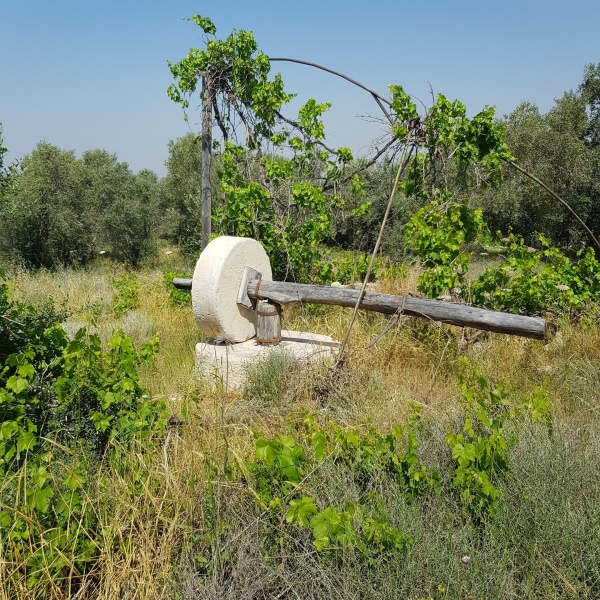 קובץ:2018.04.14-115826.300.android.jpg