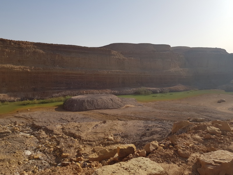 קובץ:2018.05.21-086032.871.android.jpg